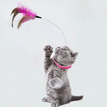Cat Feather Collar Toy with Bell – Adjustable Teaser Wand