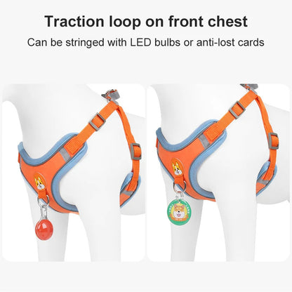 New Dog Leash And Harness Set