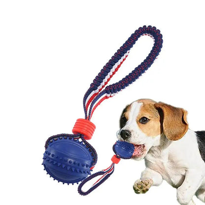 Dog Toy Ball