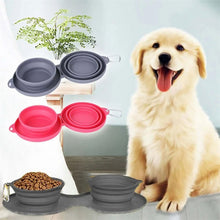 Rubber Foldable Double Bowl | Pet Feeding Bowl