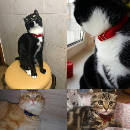 Cat collar