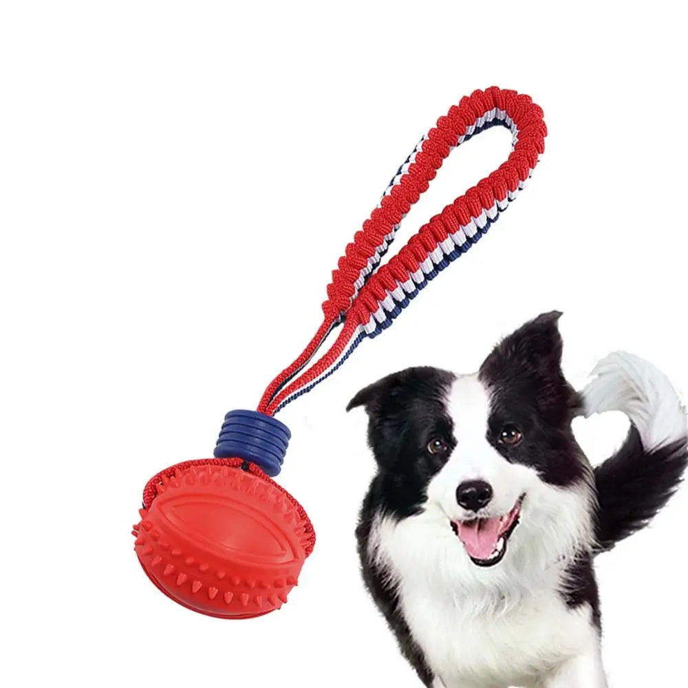 Dog Toy Ball