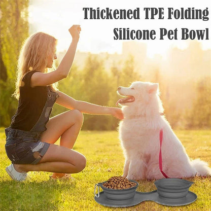 Rubber Foldable Double Bowl | Pet Feeding Bowl