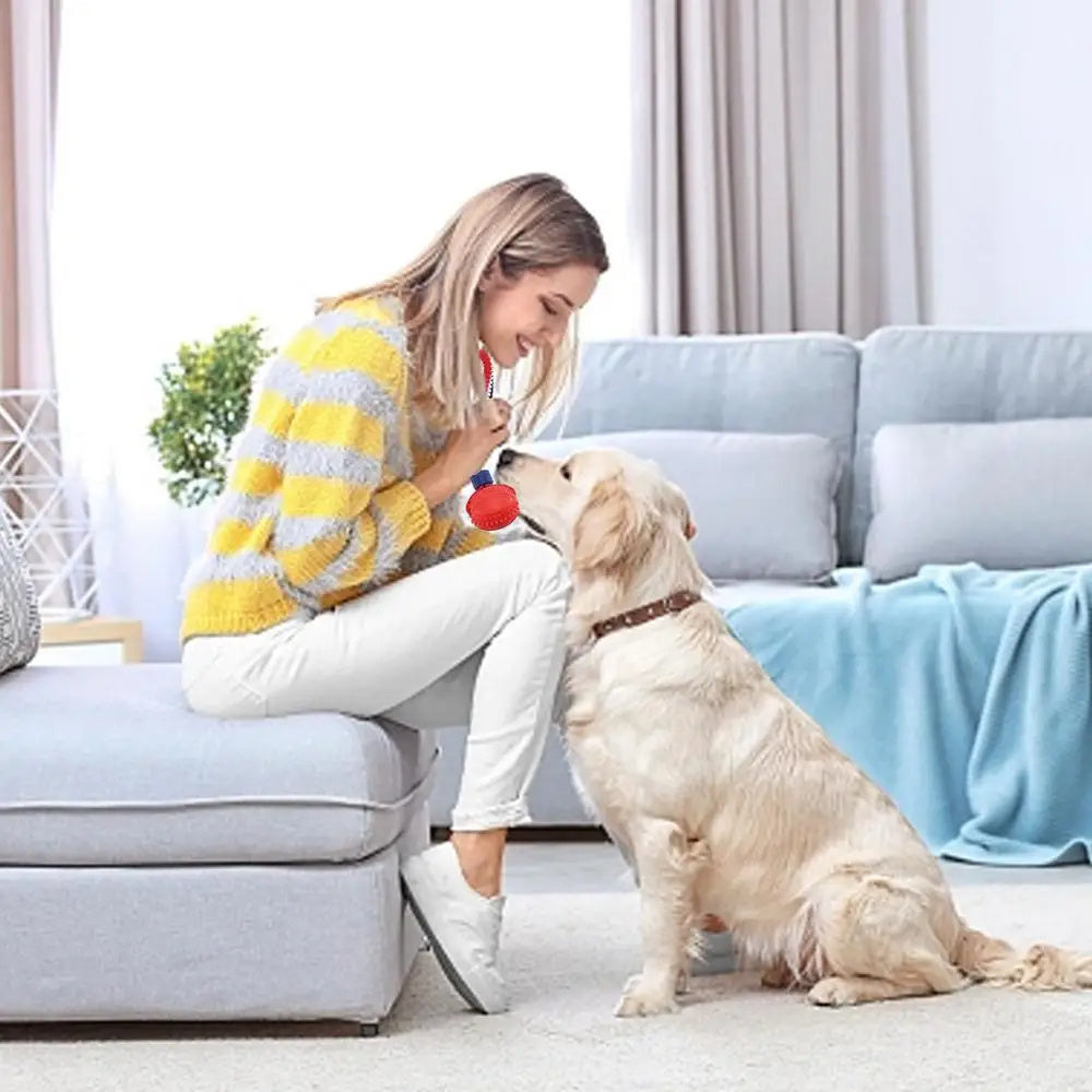 Dog Toy Ball