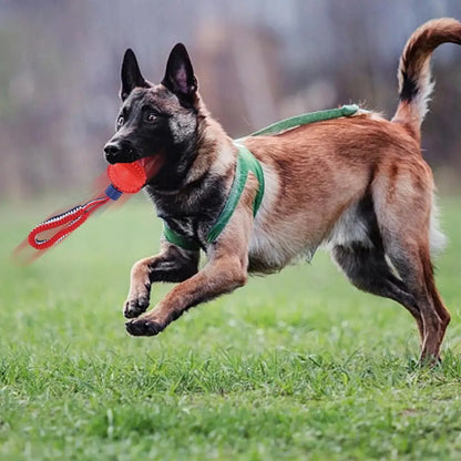Dog Toy Ball