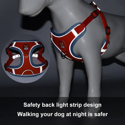 New Dog Leash And Harness Set
