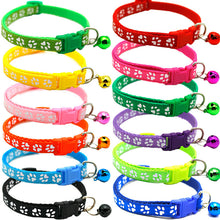 Pet ID Collars for Cats & Dogs
